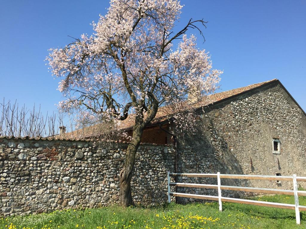 Antico Cascinale Lombardo Bed & Breakfast Lonato Luaran gambar